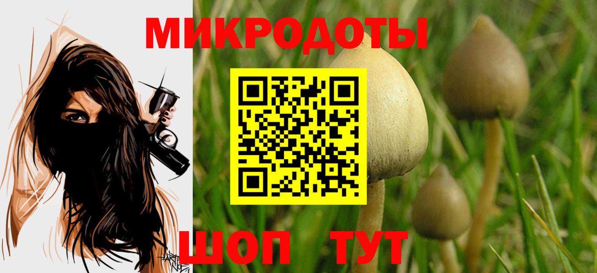 Галлюциногенные грибы мицелий  Галлюциногенные грибы MAGIC MUSHROOMS  Вход с VPN  Петропавловск-Камчатский 